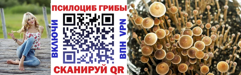 Галлюциногенные грибы мицелий  сайты даркнета какой сайт  Чистополь  где можно купить  